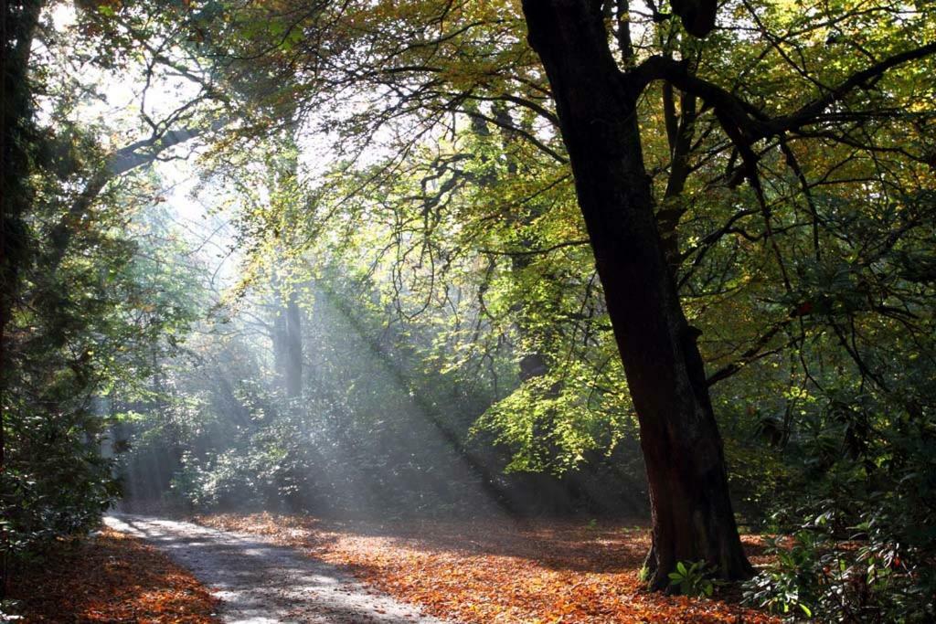 Harewood Estate Cottages Bagian luar foto