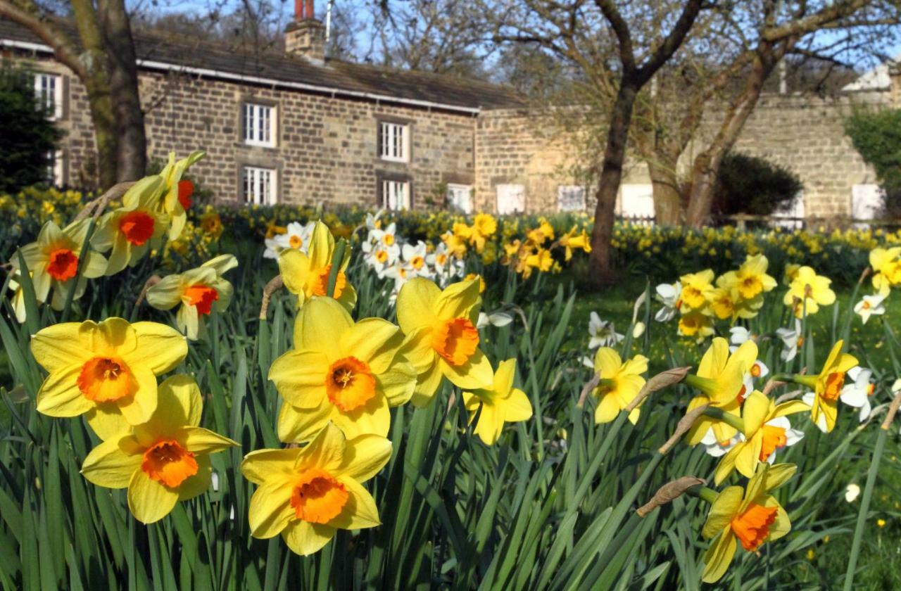 Harewood Estate Cottages Bagian luar foto